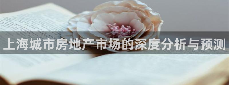 新宝5下载：上海城市房地产市场的深度分析与预测