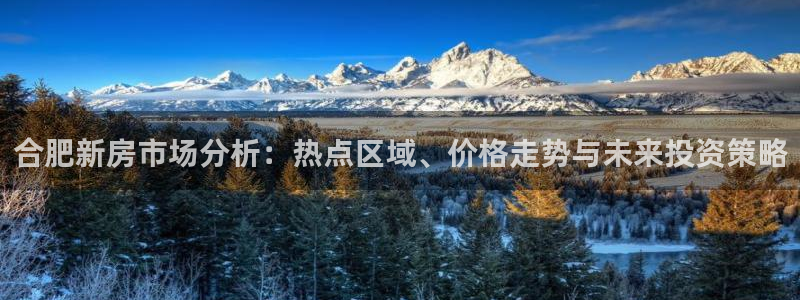 新宝5是谁的：合肥新房市场分析：热点区域、价格走势与未来投资