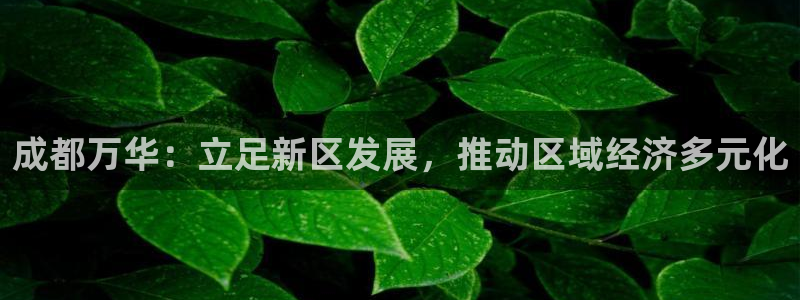 新宝5平台注册资金：成都万华：立足新区发展，推动区域经济多元