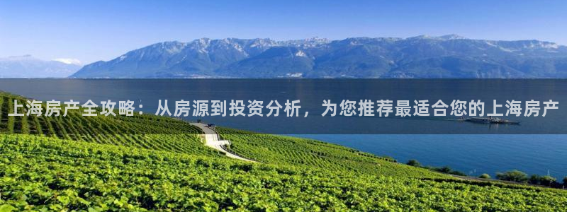 新宝5褚32OO59：上海房产全攻略：从房源到投资分析，为您