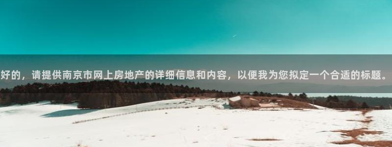 新宝5主管：好的，请提供南京市网上房地产的详细信息和内容，以