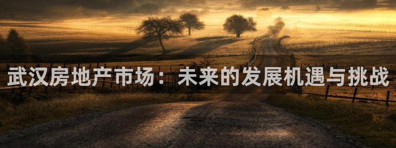 新宝cR一5：武汉房地产市场：未来的发展机遇与挑战