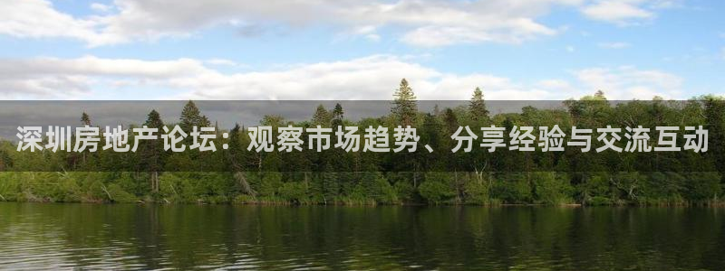 新宝_5：深圳房地产论坛：观察市场趋势、分享经验与交流互动