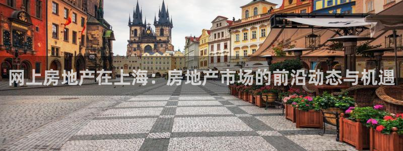 新宝5登录入口网址：网上房地产在上海：房地产市场的前沿动态与