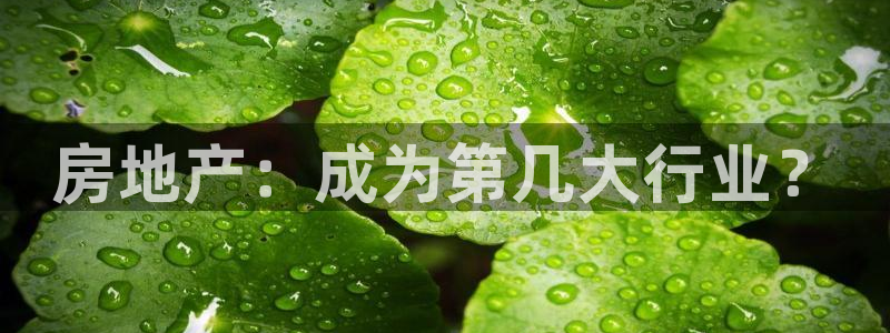 新宝5官网67五壹叁八：房地产：成为第几大行业？