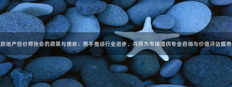 新宝5娱乐登陆：房地产估价师协会的愿景与使命：携手推动行业进