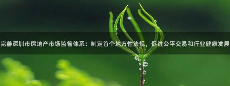 新宝5 测速：完善深圳市房地产市场监管体系：制定首个地方性法