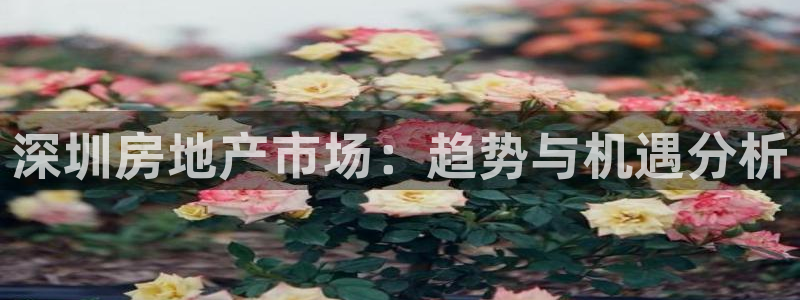 新宝5湫333 00：深圳房地产市场：趋势与机遇分析