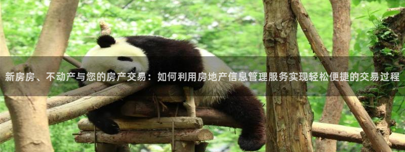 新宝5球维33 300：新房房、不动产与您的房产交易：如何利