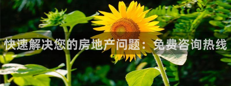 新宝5登录地址：快速解决您的房地产问题：免费咨询热线