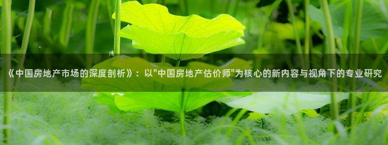 新宝5主管：《中国房地产市场的深度剖析》：以\