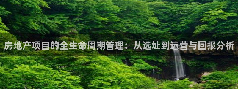 新宝5现在还能玩吗：房地产项目的全生命周期管理：从选址到运营