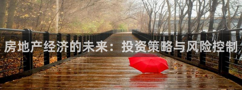 新宝5手机登陆：房地产经济的未来：投资策略与风险控制