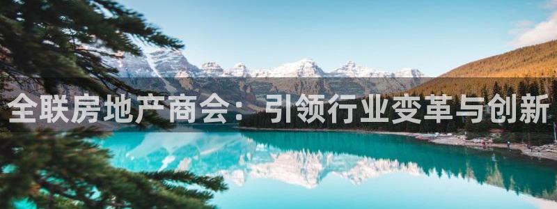 新宝注5册：全联房地产商会：引领行业变革与创新