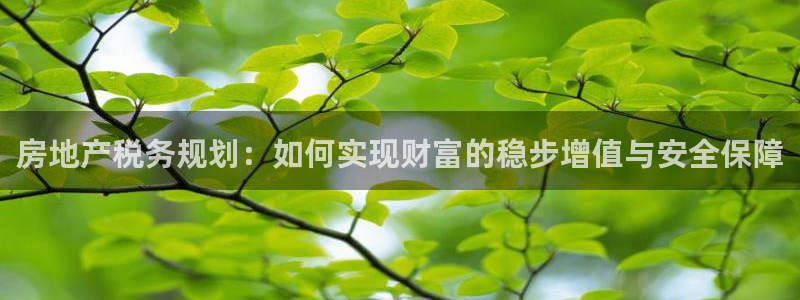 新宝5娱乐注：房地产税务规划：如何实现财富的稳步增值与安全保