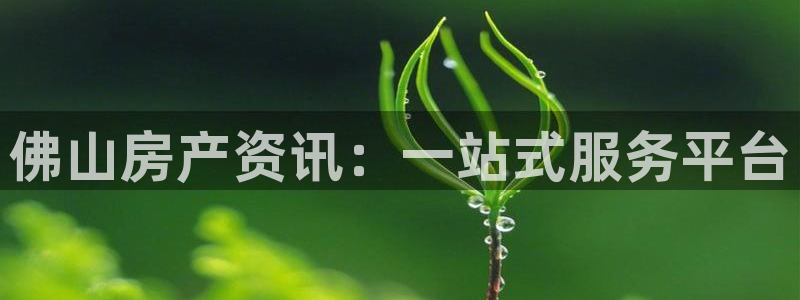 新宝5安卓版：佛山房产资讯：一站式服务平台