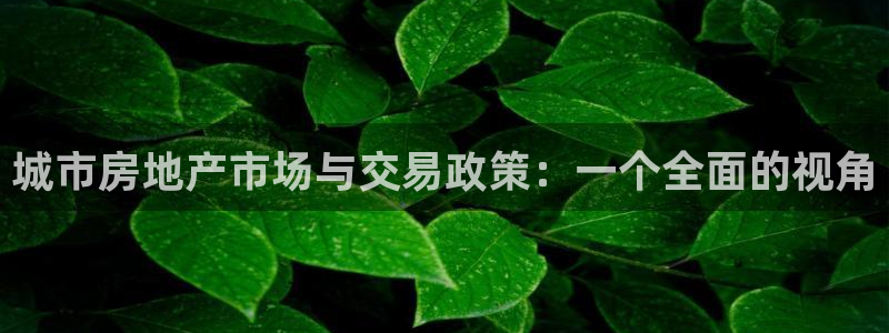 新宝5得74OOO5：城市房地产市场与交易政策：一个全面的视
