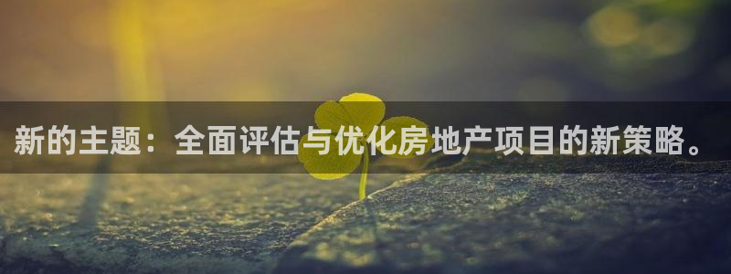 新宝5寂创33300散：新的主题：全面评估与优化房地产项目的