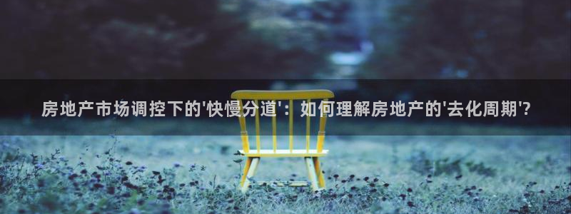 新宝5现在还能玩吗：房地产市场调控下的\'快慢分道\'：如何