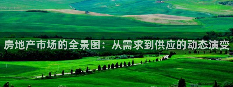 新宝5链接：房地产市场的全景图：从需求到供应的动态演变