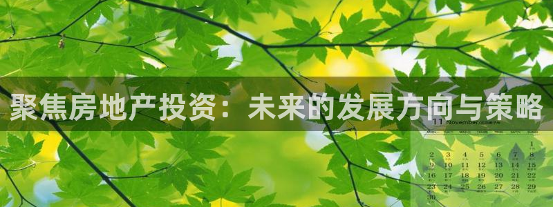 新宝5王问74OOO5：聚焦房地产投资：未来的发展方向与策略