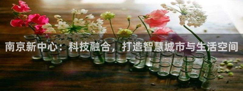 新宝5注册登录：南京新中心：科技融合，打造智慧城市与生活空间