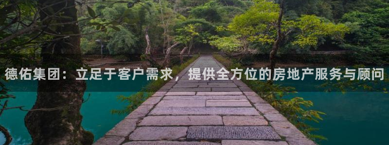 新宝5直属：德佑集团：立足于客户需求，提供全方位的房地产服务