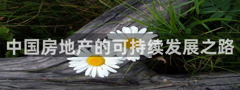 新宝5官网：中国房地产的可持续发展之路