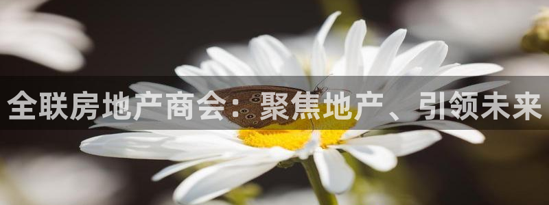 新宝5怎么下载到桌面：全联房地产商会：聚焦地产、引领未来