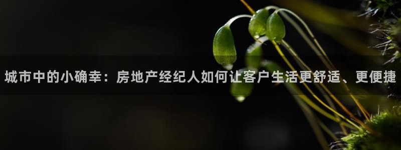新宝5平台咋样：城市中的小确幸：房地产经纪人如何让客户生活更