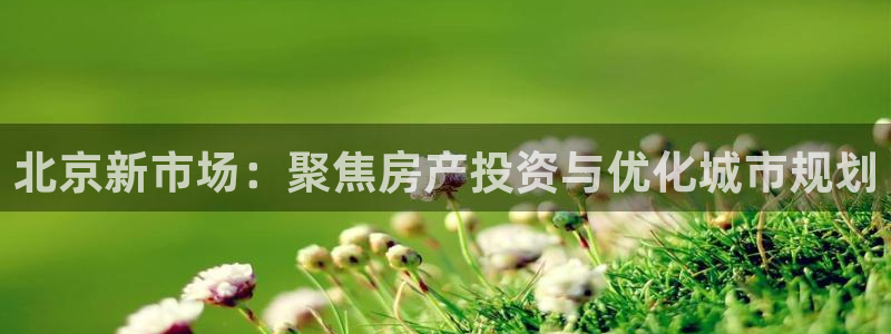 新宝5平台注册资金：北京新市场：聚焦房产投资与优化城市规划