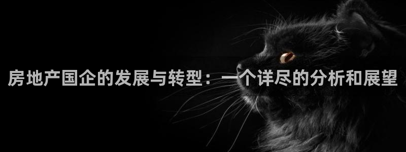 新宝5手机版登录：房地产国企的发展与转型：一个详尽的分析和展