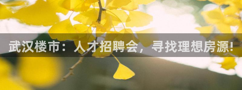 新宝5线路登录：武汉楼市：人才招聘会，寻找理想房源!