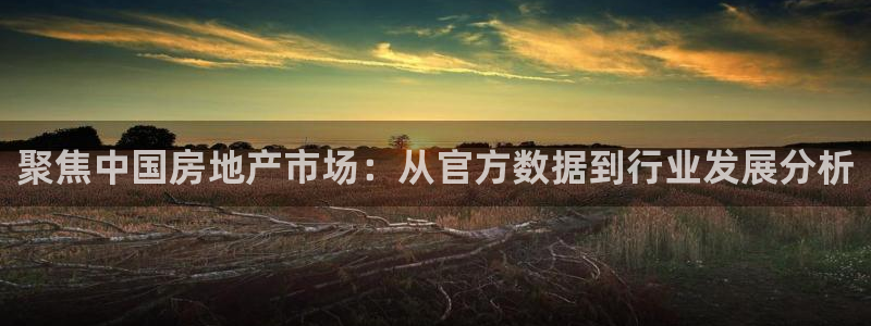 新宝5飞355051：聚焦中国房地产市场：从官方数据到行业发