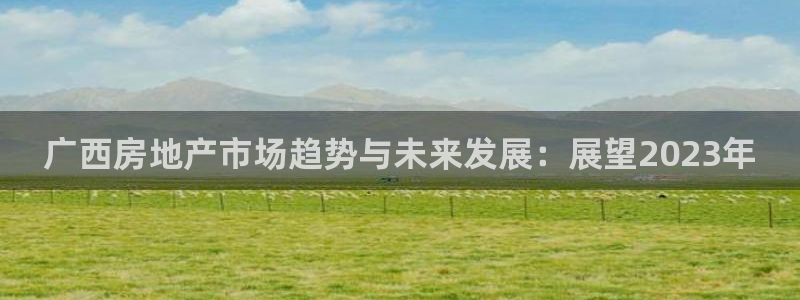 新宝5注册：广西房地产市场趋势与未来发展：展望2023年