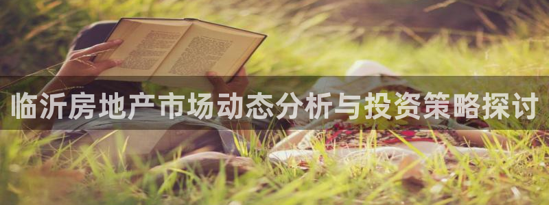 新宝5平台登录下载软件：临沂房地产市场动态分析与投资策略探讨