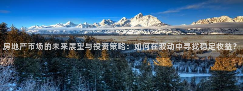 新宝5平台登录：房地产市场的未来展望与投资策略：如何在波动中
