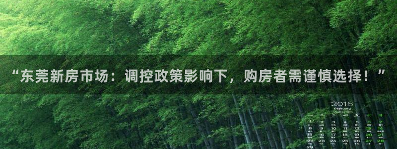 新宝5娱乐方：“东莞新房市场：调控政策影响下，购房者需谨慎选