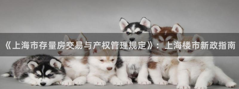 新宝5招商222111：《上海市存量房交易与产权管理规定》：