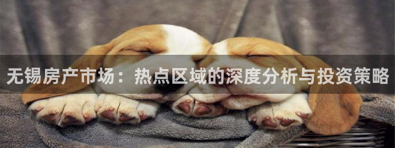 新宝5平台注册：无锡房产市场：热点区域的深度分析与投资策略