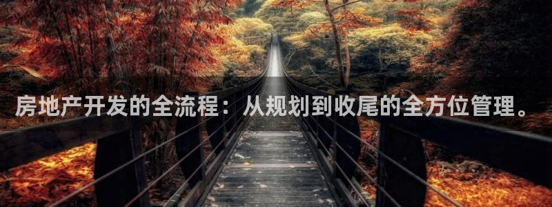 新宝5测：房地产开发的全流程：从规划到收尾的全方位管理。