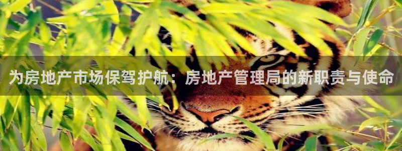 新宝5 唯一：为房地产市场保驾护航：房地产管理局的新职责与使