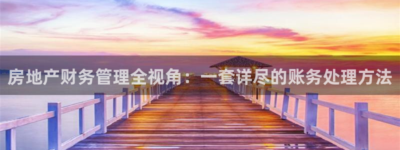 菲律宾新宝5老板：房地产财务管理全视角：一套详尽的账务处理方
