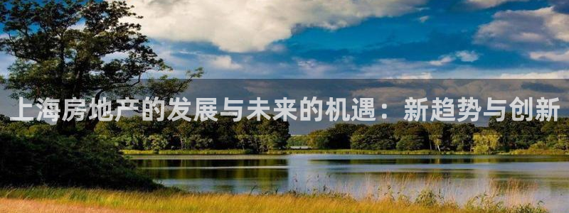 新宝5台卡：上海房地产的发展与未来的机遇：新趋势与创新