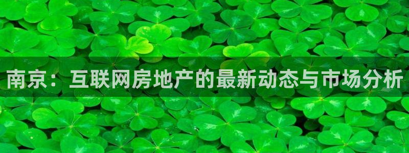 新宝5培训：南京：互联网房地产的最新动态与市场分析