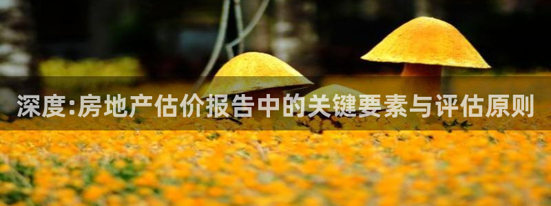新宝5线路登录：深度:房地产估价报告中的关键要素与评估原则