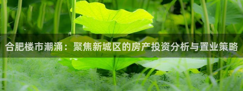 新宝5浗维33 300：合肥楼市潮涌：聚焦新城区的房产投资分