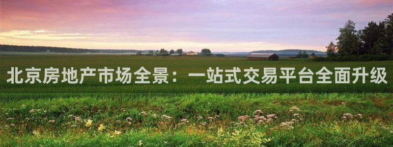 新宝5招商：北京房地产市场全景：一站式交易平台全面升级