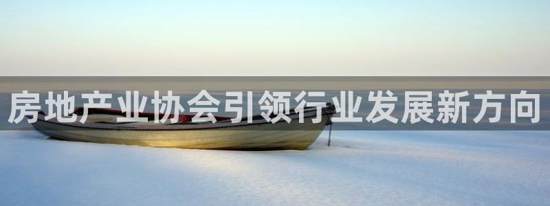 新宝5电脑：房地产业协会引领行业发展新方向