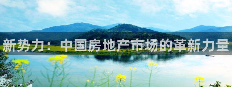 新宝5策略：新势力：中国房地产市场的革新力量